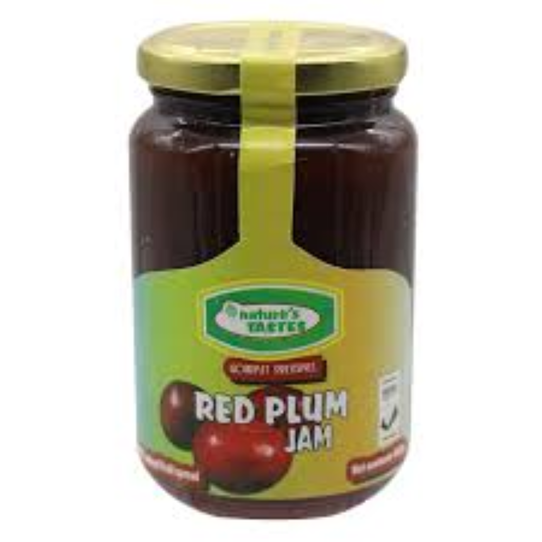 NATURES RED PLUM JAM 450G